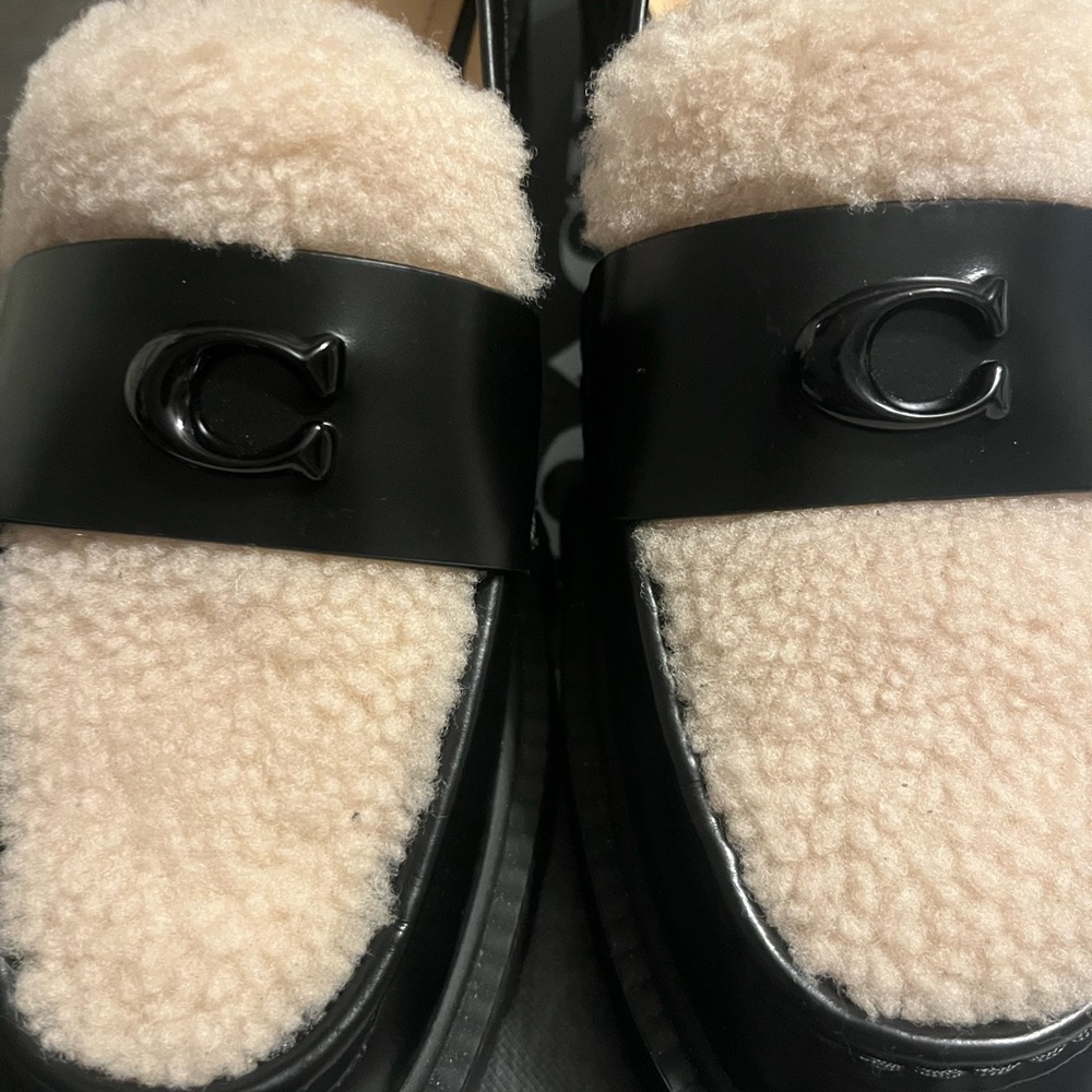 Coach Women's Leah Shearling Loafer - Picture 2 of 6